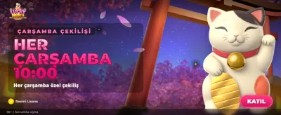 Lucky Neko Şansını Yakala